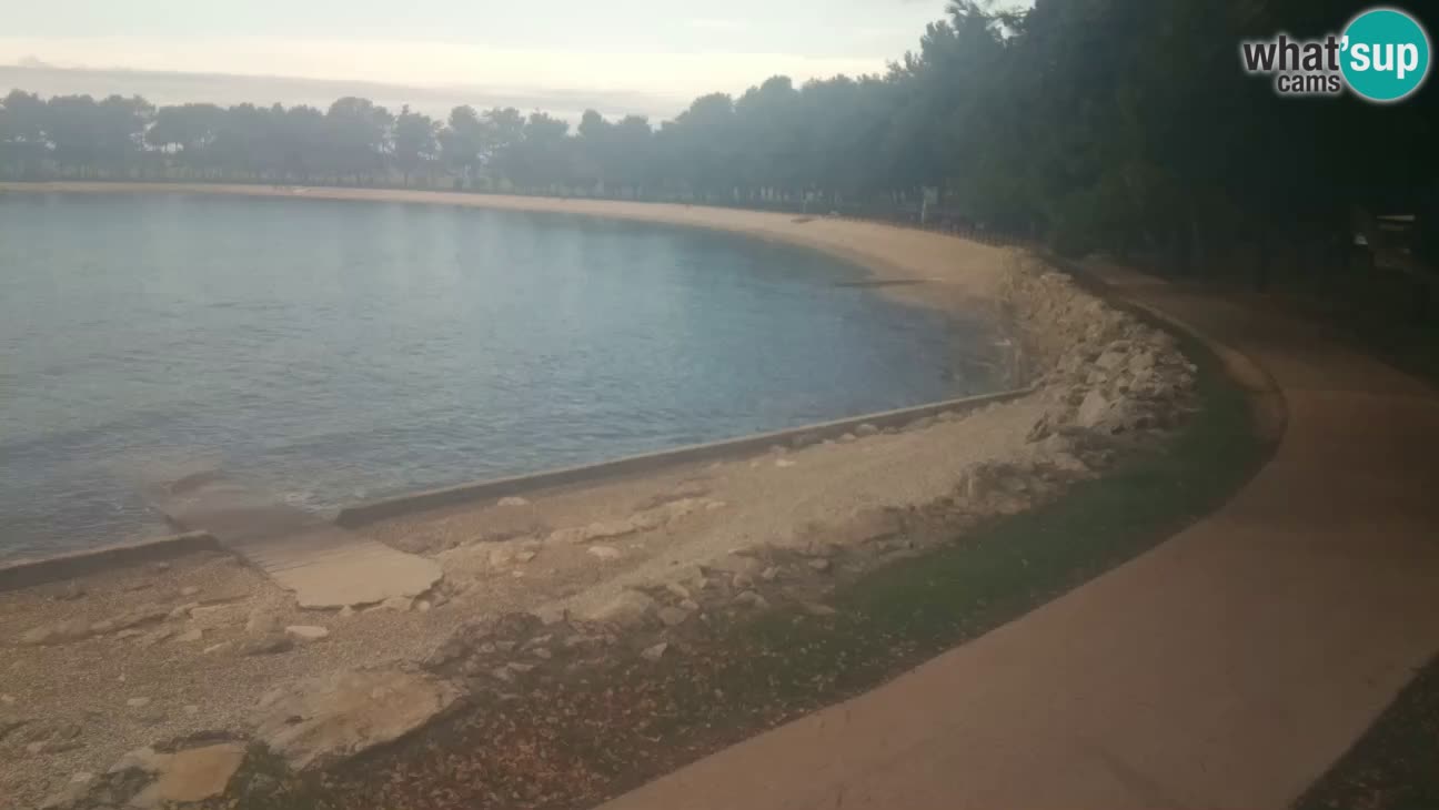 Novigrad – Strand Karpinjan webcam