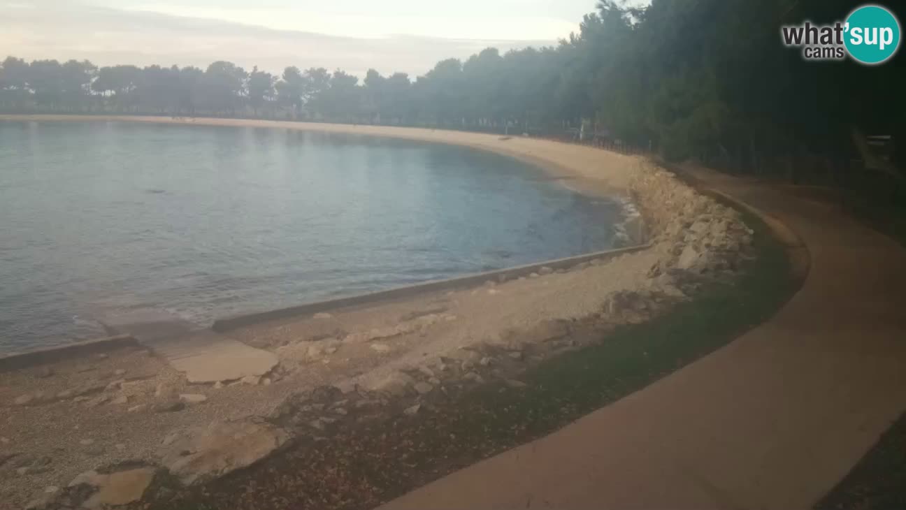 Novigrad – Strand Karpinjan webcam