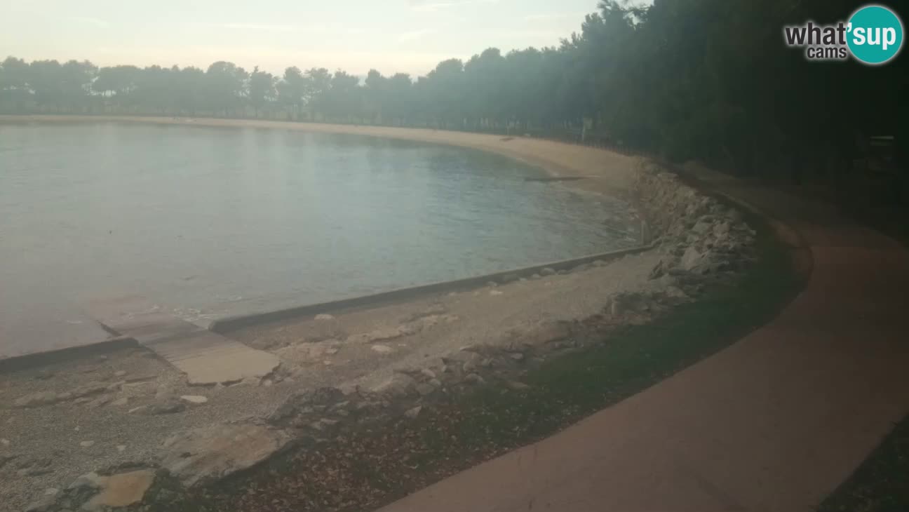 Novigrad – Plage Karpinjan