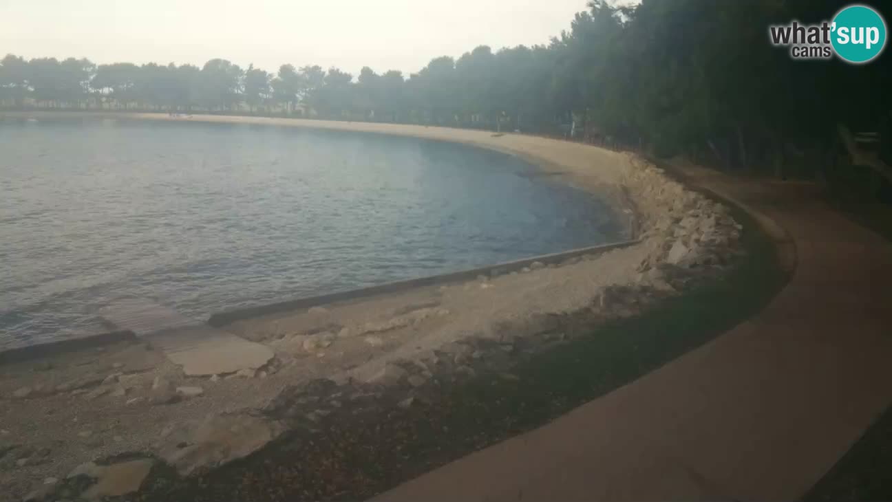 Novigrad live cam – Karpinjan beach