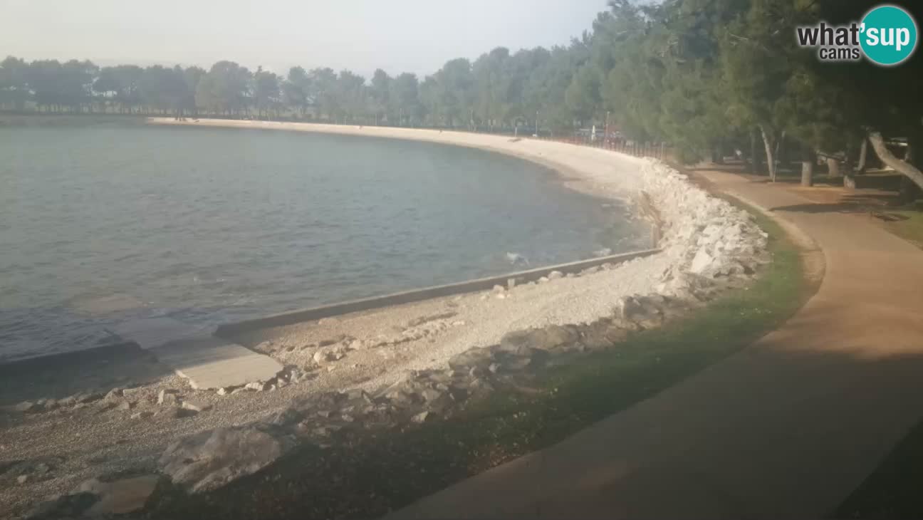 Novigrad live cam – Karpinjan beach