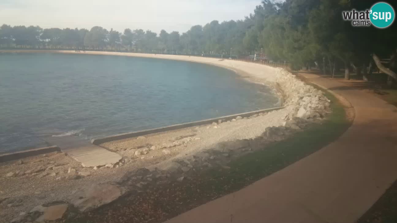 Novigrad – Strand Karpinjan webcam