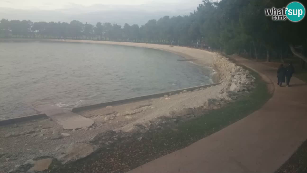 Novigrad – Plaža Karpinjan