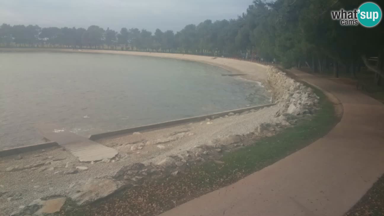 Novigrad – Plaža Karpinjan