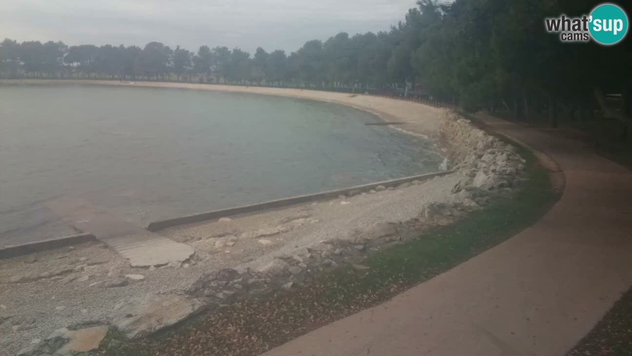 Novigrad live cam – Karpinjan beach