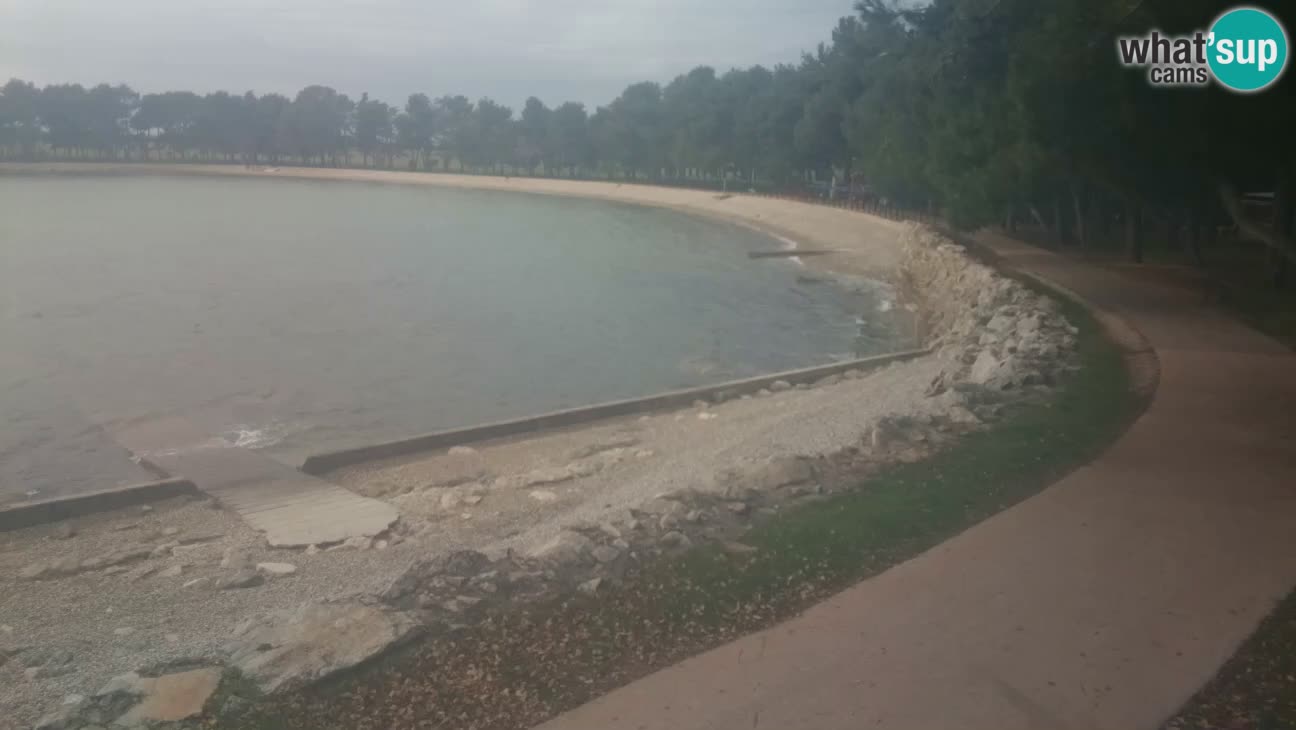 Cittanova – Spiaggia Karpinjan