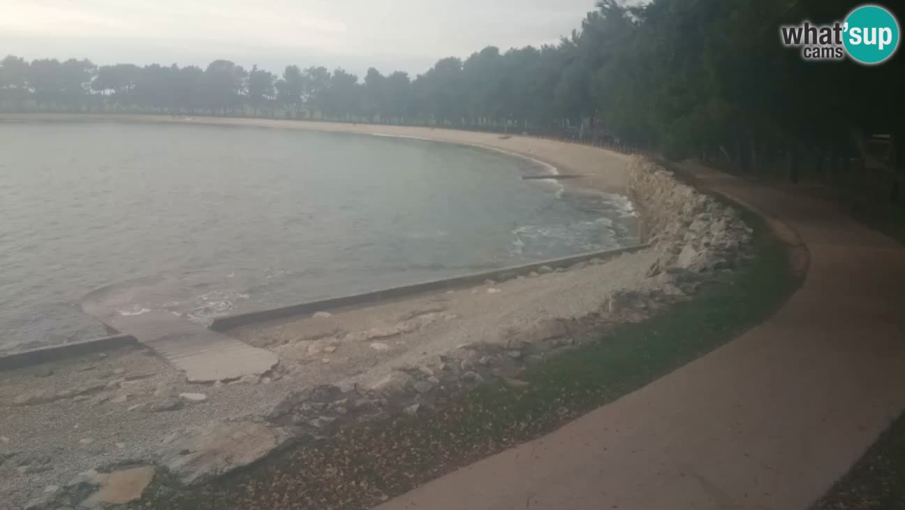 Novigrad live cam – Karpinjan beach