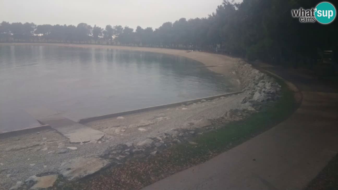 Novigrad – Playa Karpinjan