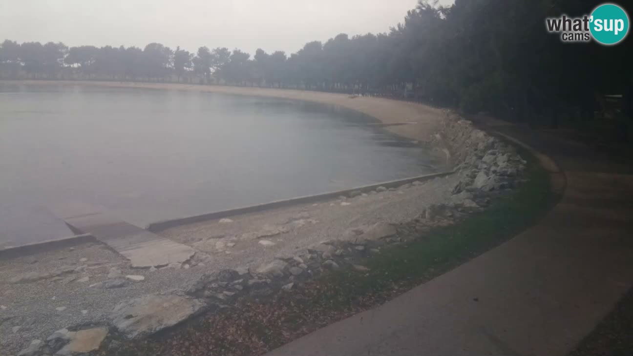 Novigrad – Strand Karpinjan webcam