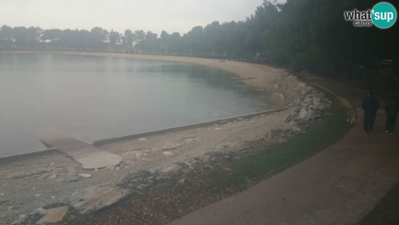 Novigrad live cam – Karpinjan beach