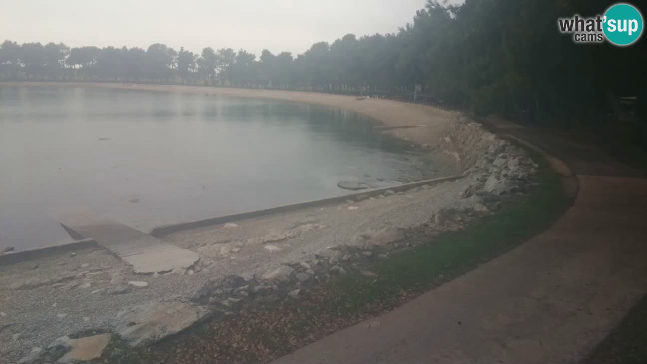 Novigrad – Plage Karpinjan