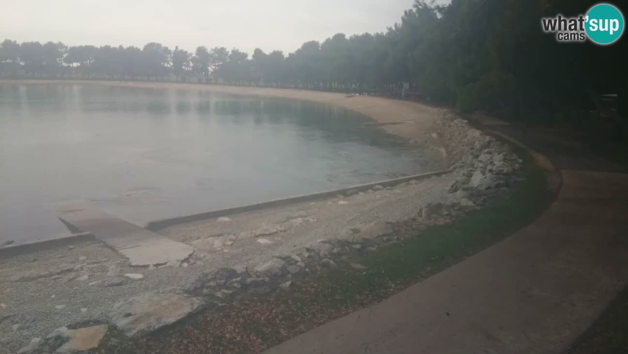 Novigrad – Plage Karpinjan