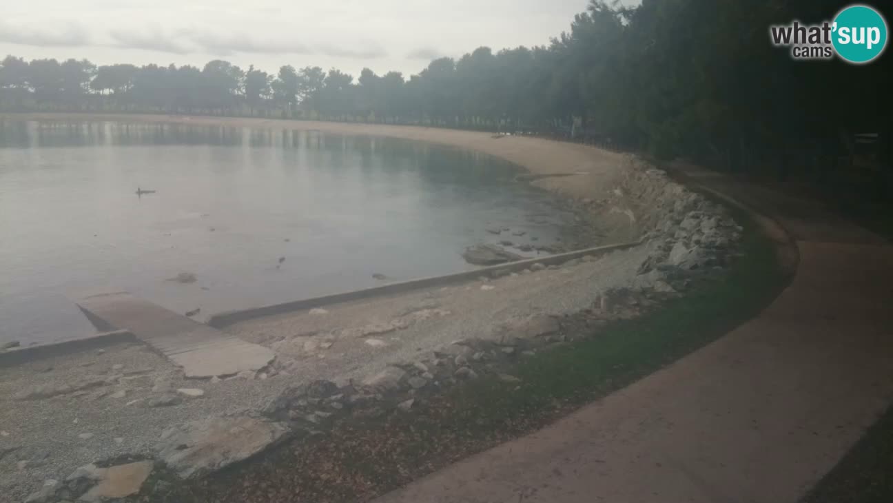 Novigrad – Plaža Karpinjan