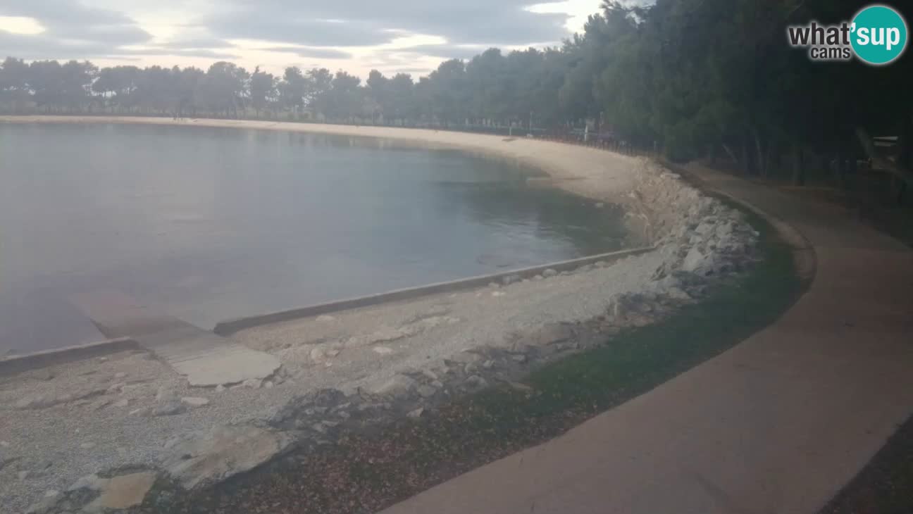 Novigrad – Strand Karpinjan webcam