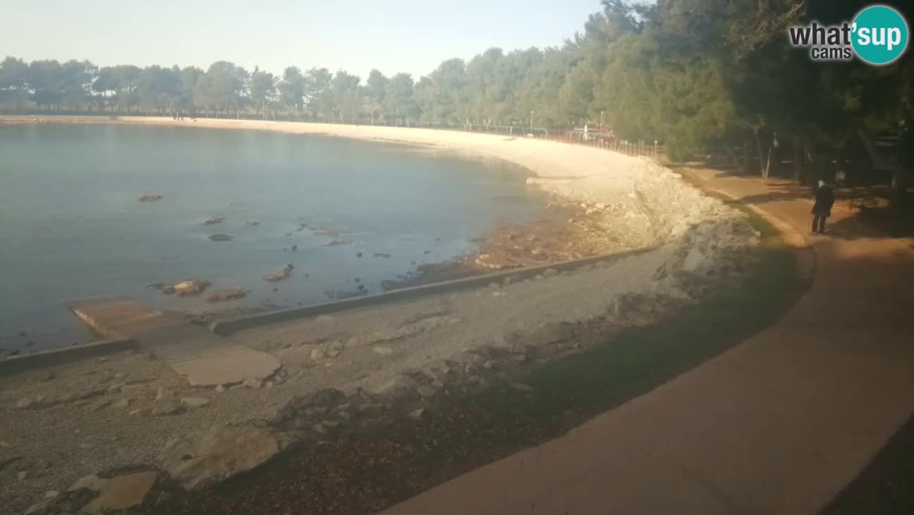 Novigrad – Plage Karpinjan