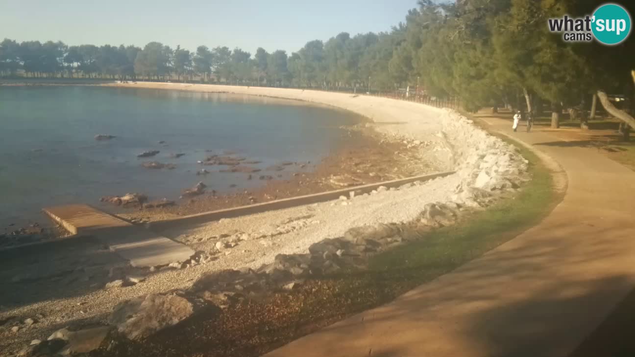 Novigrad – Plaža Karpinjan