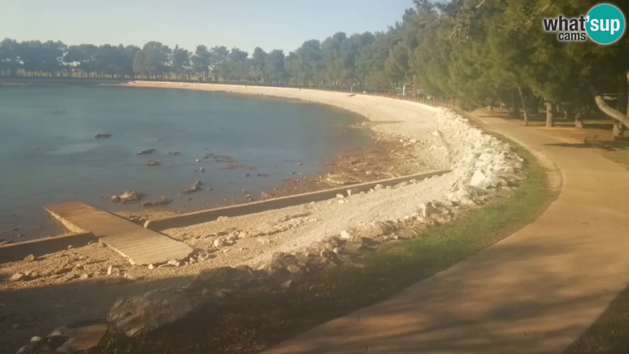 Novigrad live cam – Karpinjan beach