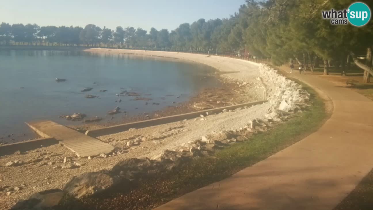 Novigrad – Plaža Karpinjan