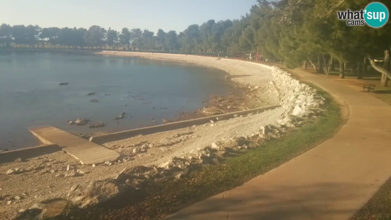 Novigrad live cam – Karpinjan beach