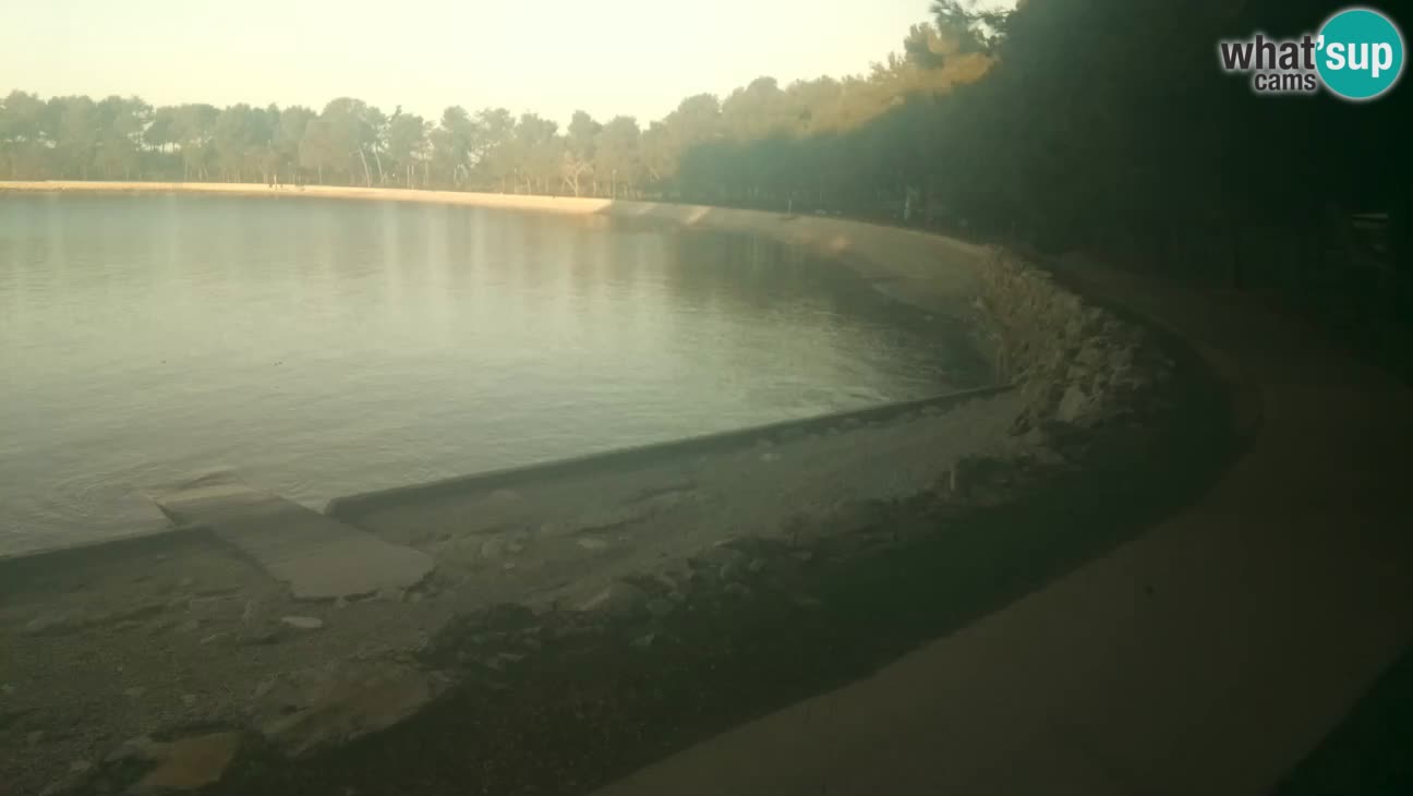 Novigrad – Strand Karpinjan webcam