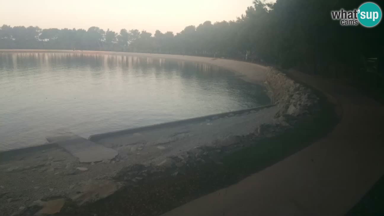 Novigrad – Plage Karpinjan