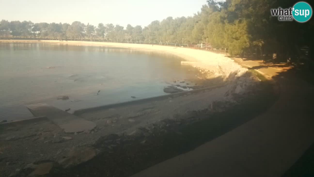 Novigrad – Plage Karpinjan