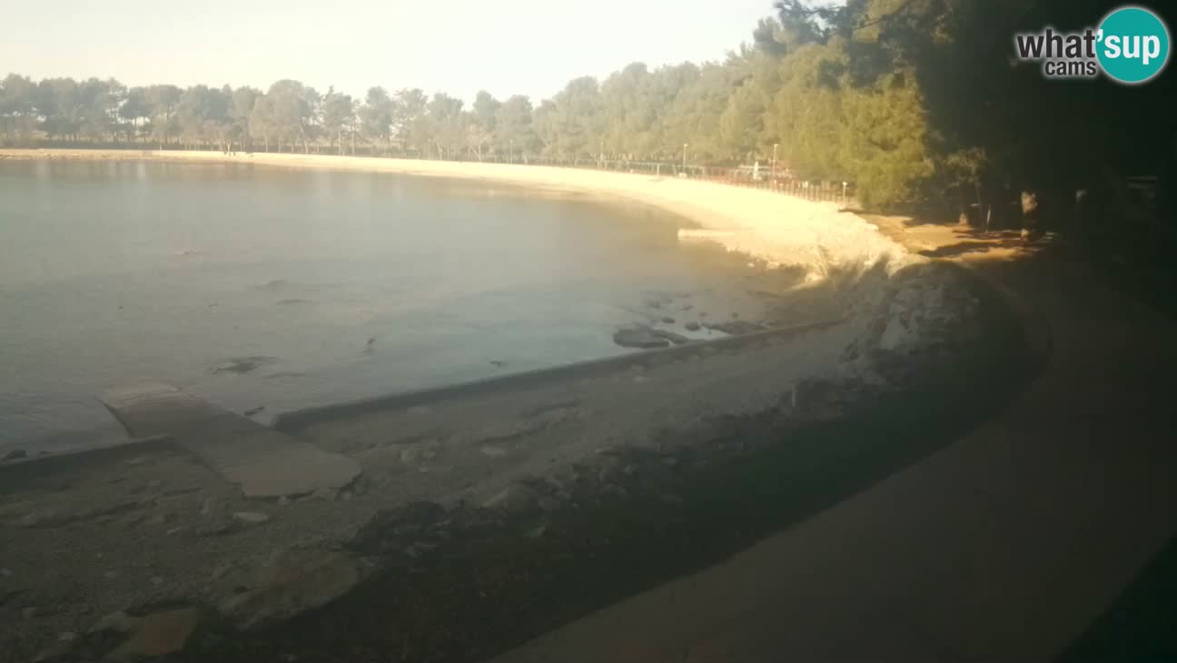 Novigrad – Plage Karpinjan