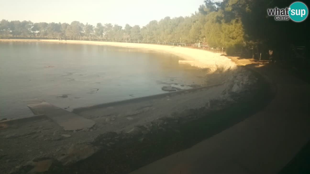 Novigrad – Plage Karpinjan