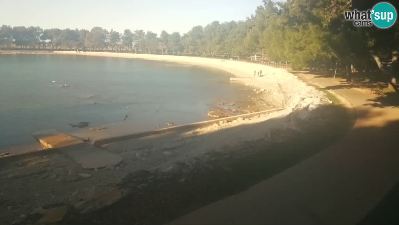 Novigrad live cam – Karpinjan beach