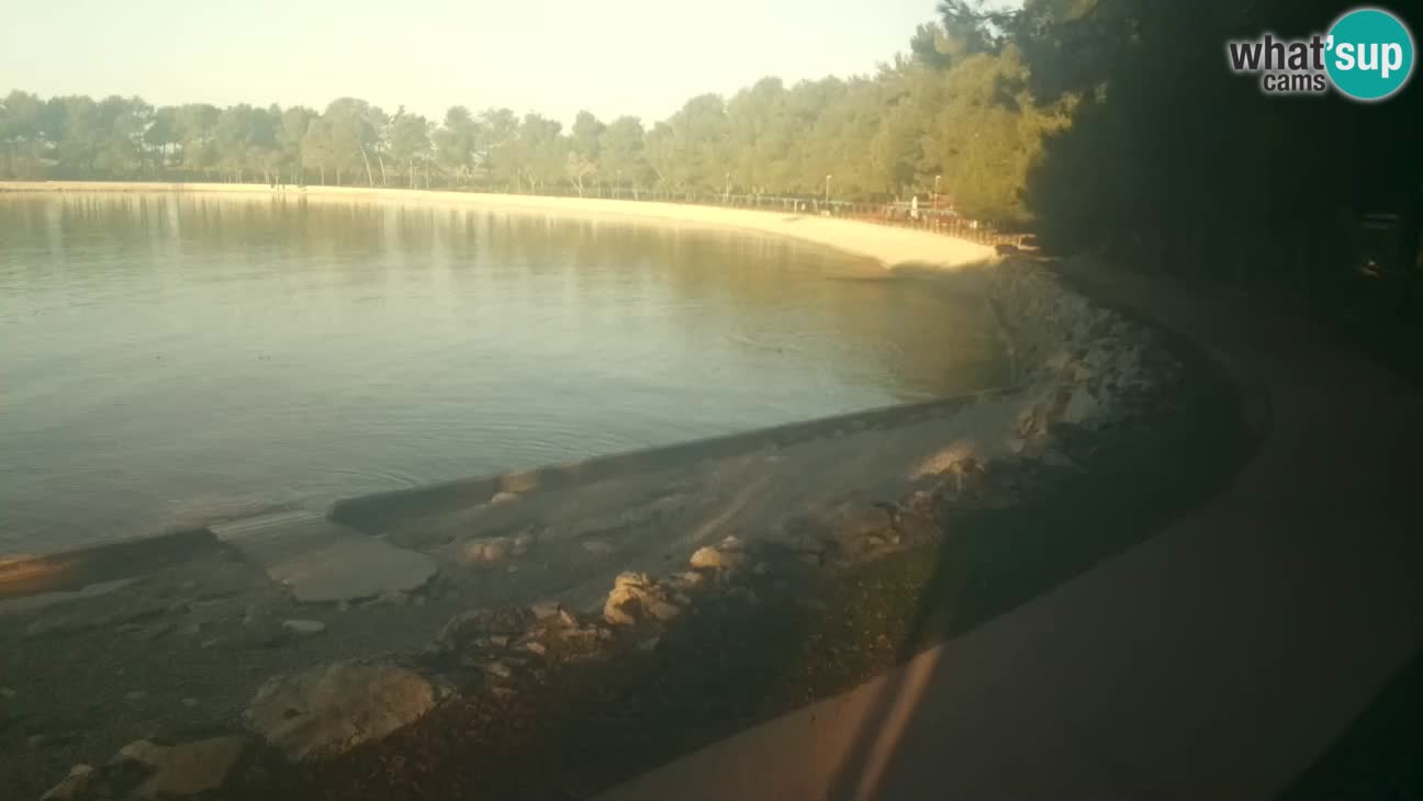 Novigrad live cam – Karpinjan beach