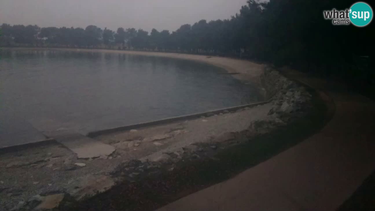 Novigrad live cam – Karpinjan beach