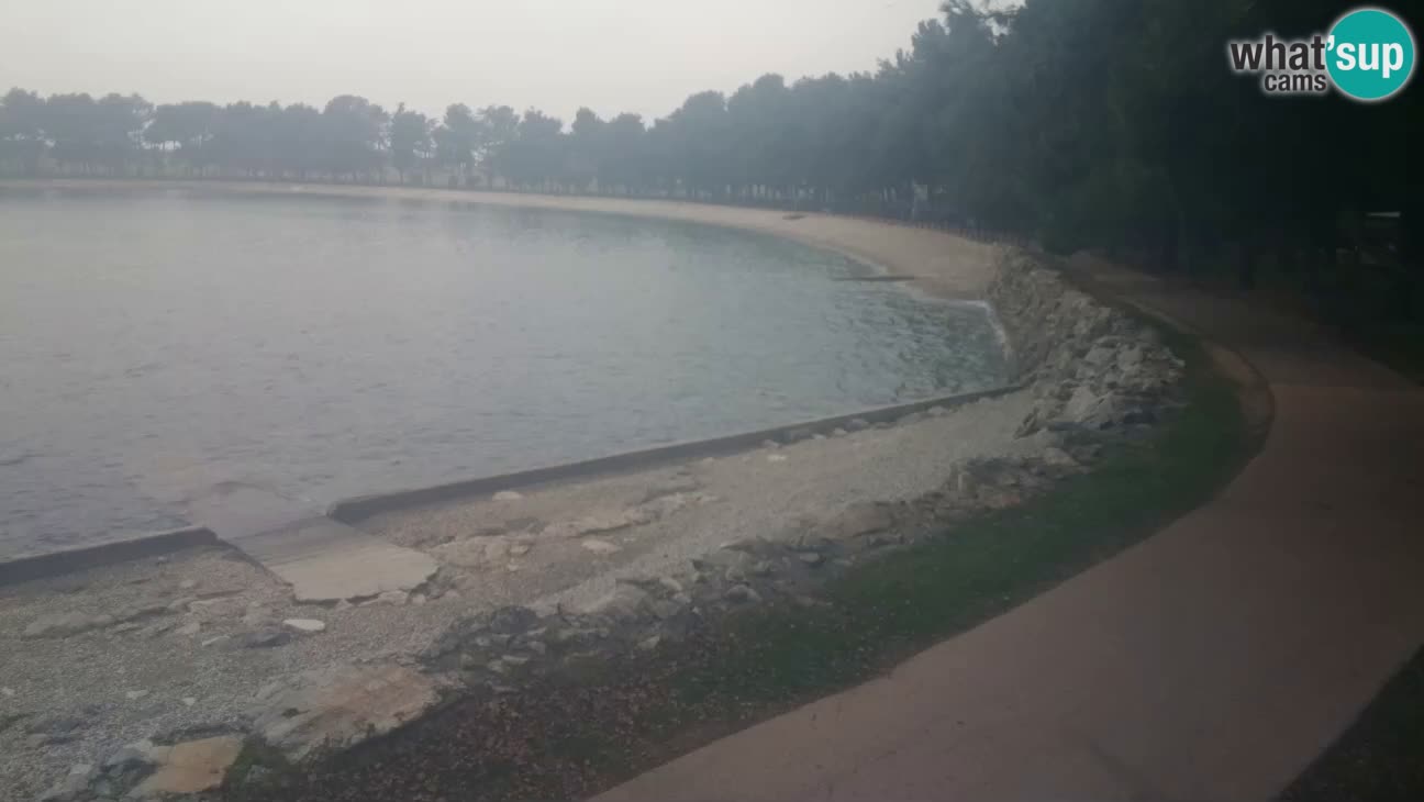 Novigrad – Playa Karpinjan