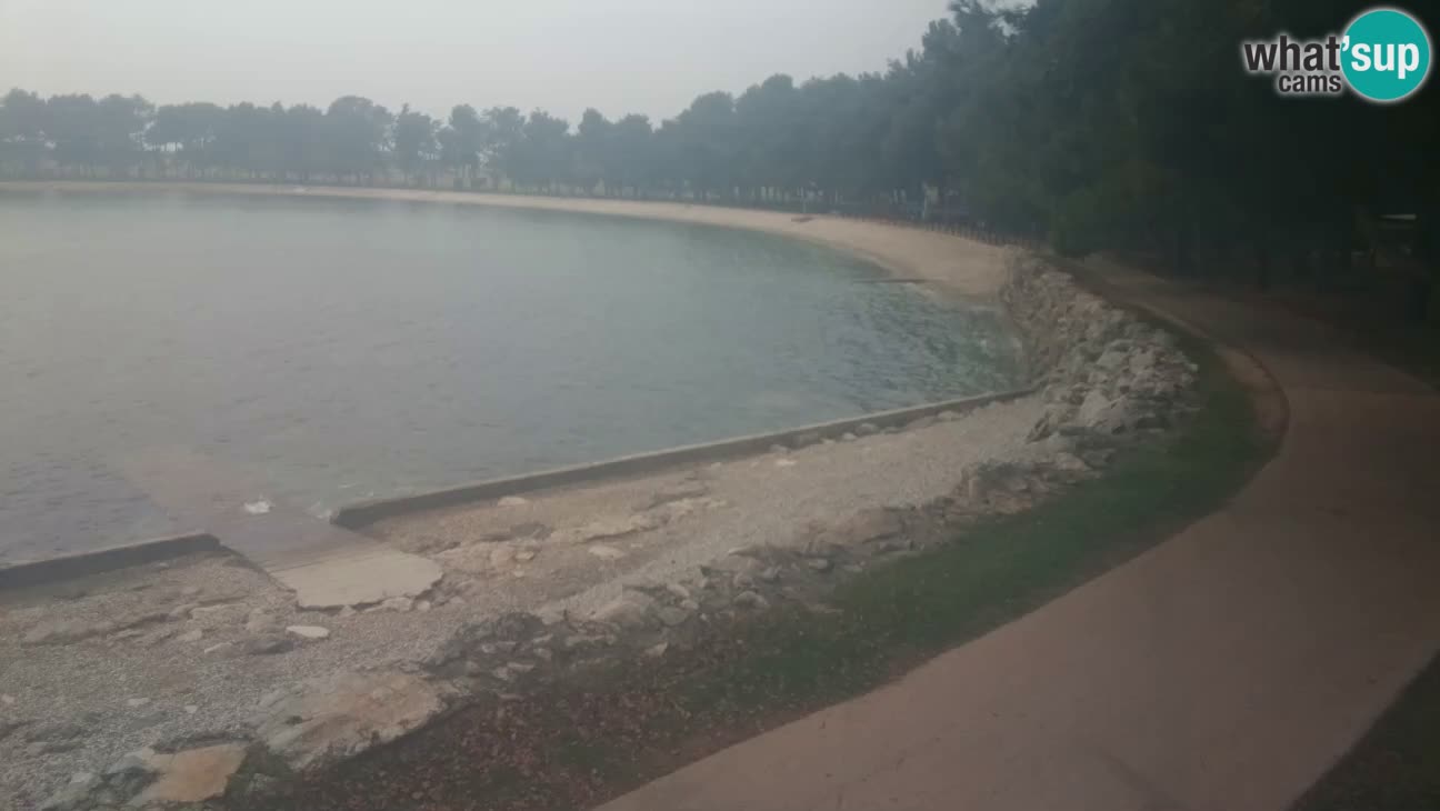 Novigrad live cam – Karpinjan beach