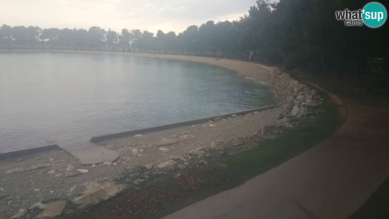 Novigrad – Plaža Karpinjan