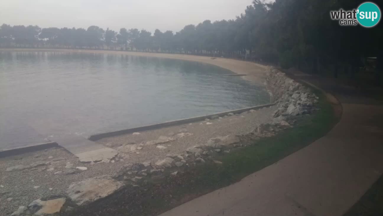 Novigrad live cam – Karpinjan beach