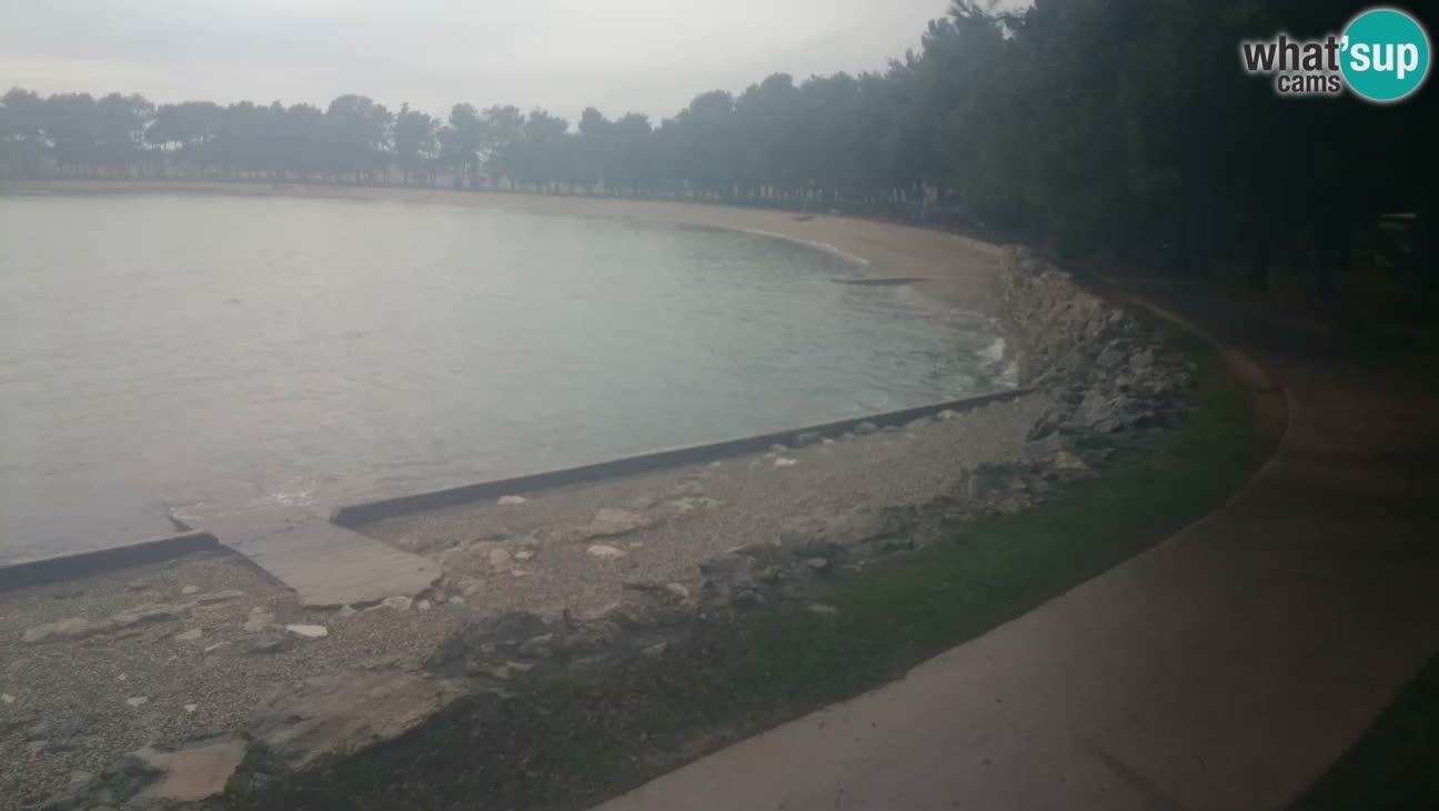 Novigrad – Strand Karpinjan webcam