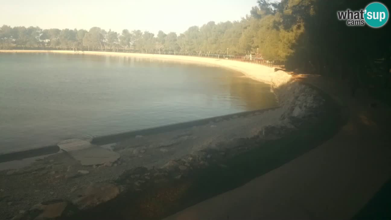 Novigrad live cam – Karpinjan beach