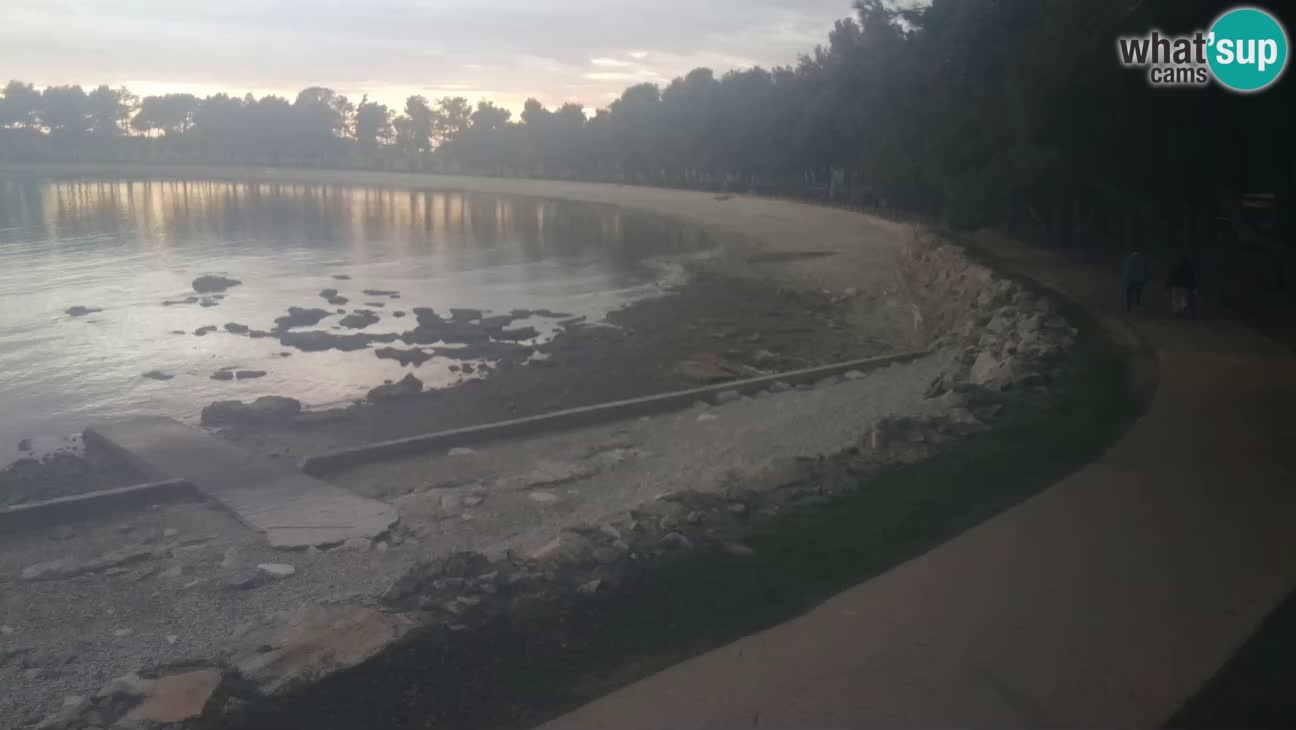 Novigrad live cam – Karpinjan beach