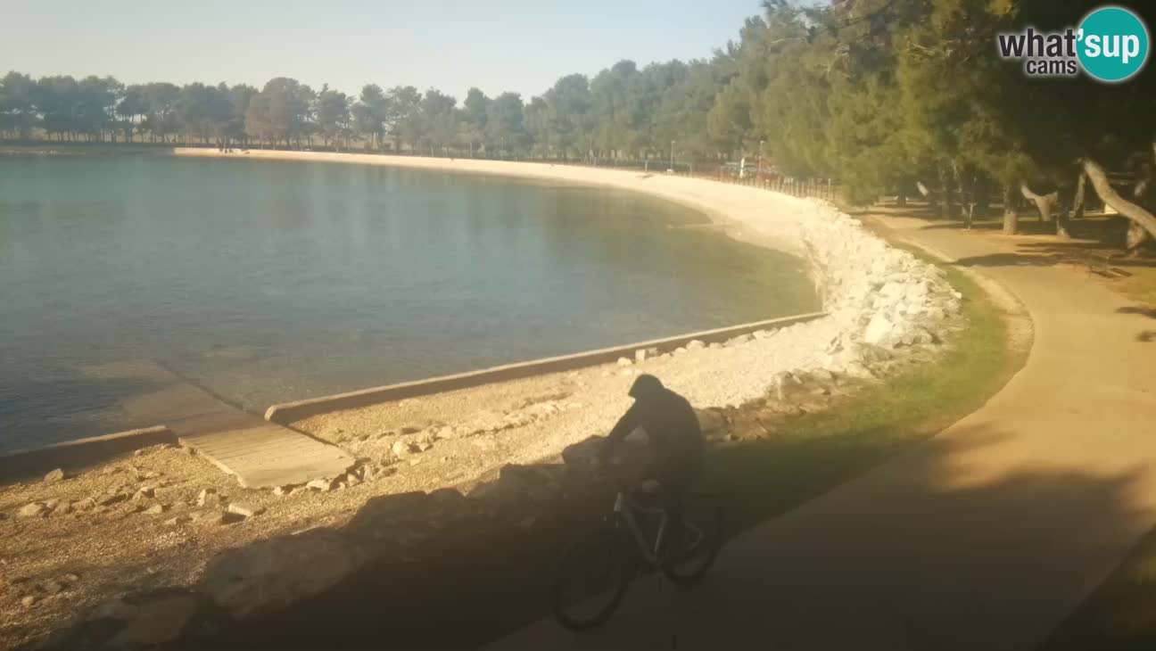 Novigrad – Playa Karpinjan