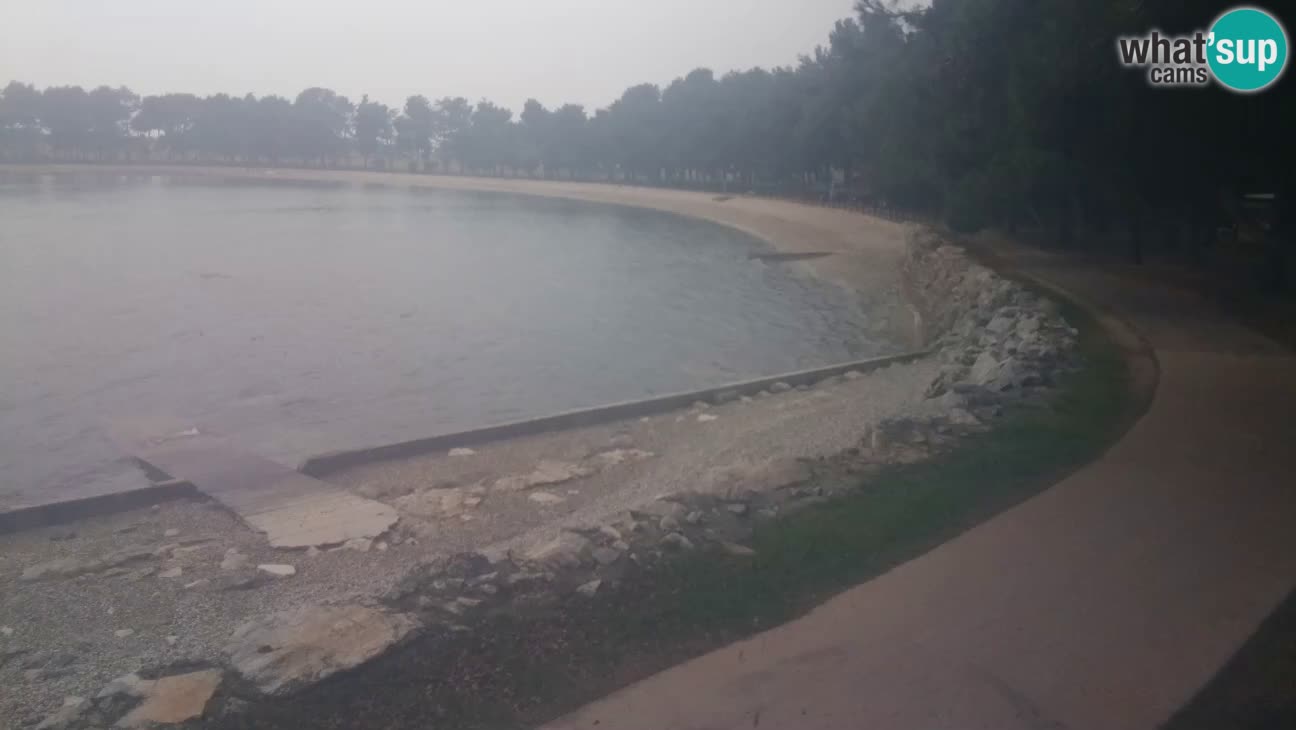 Novigrad – Strand Karpinjan webcam