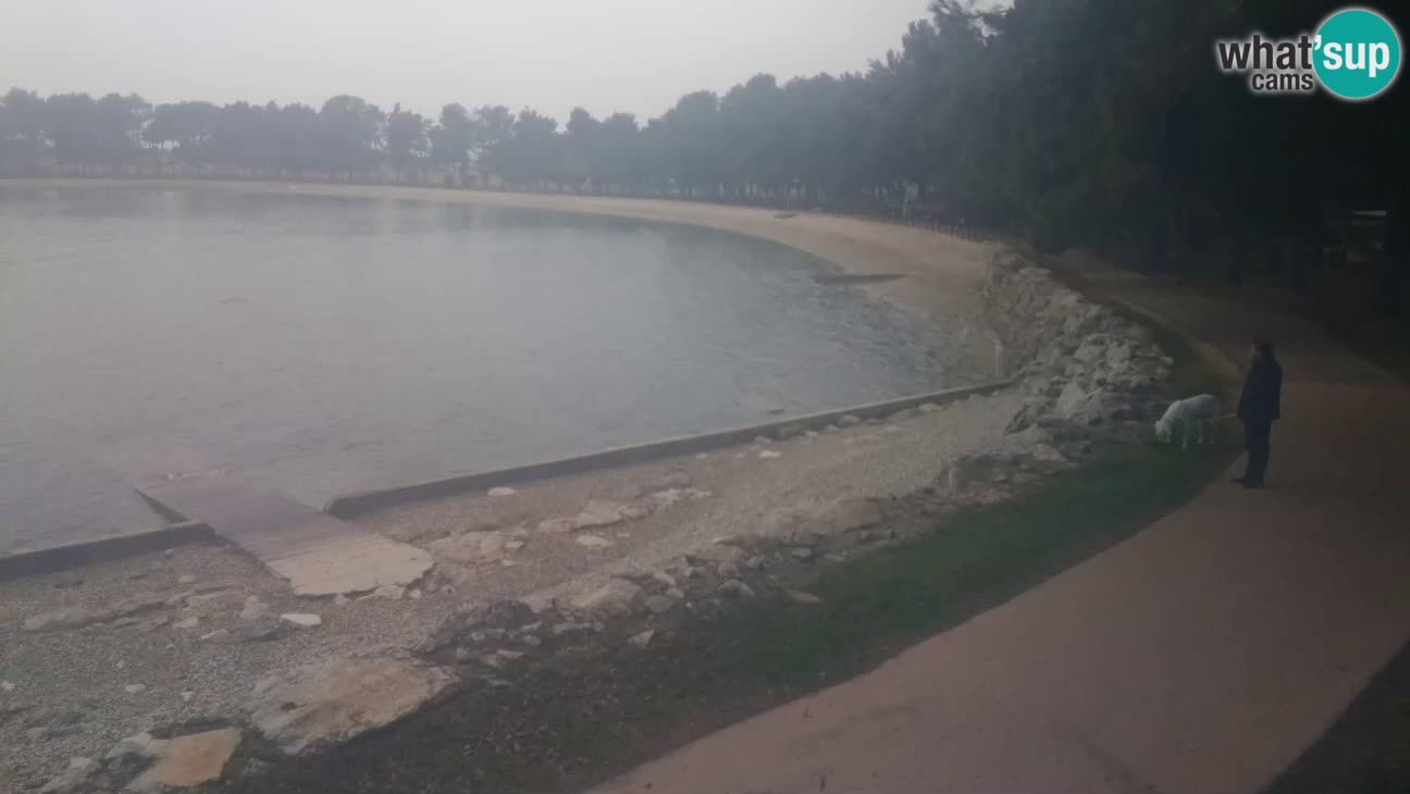 Novigrad – Plaža Karpinjan