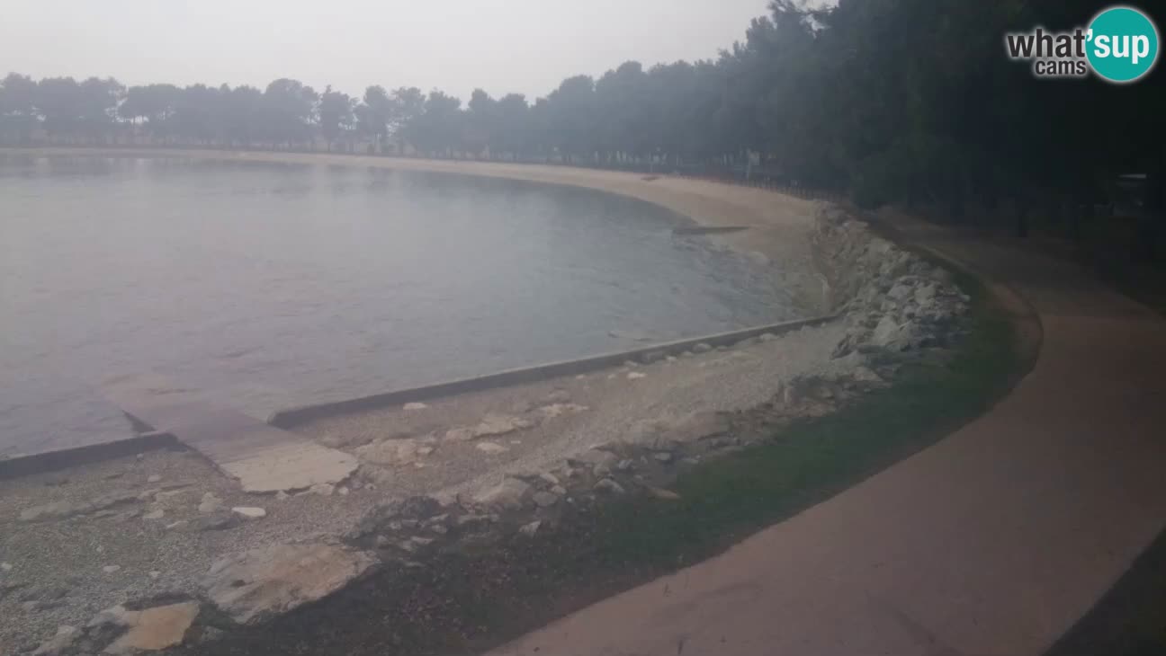 Novigrad – Plaža Karpinjan