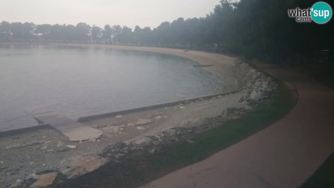 Novigrad – Strand Karpinjan webcam