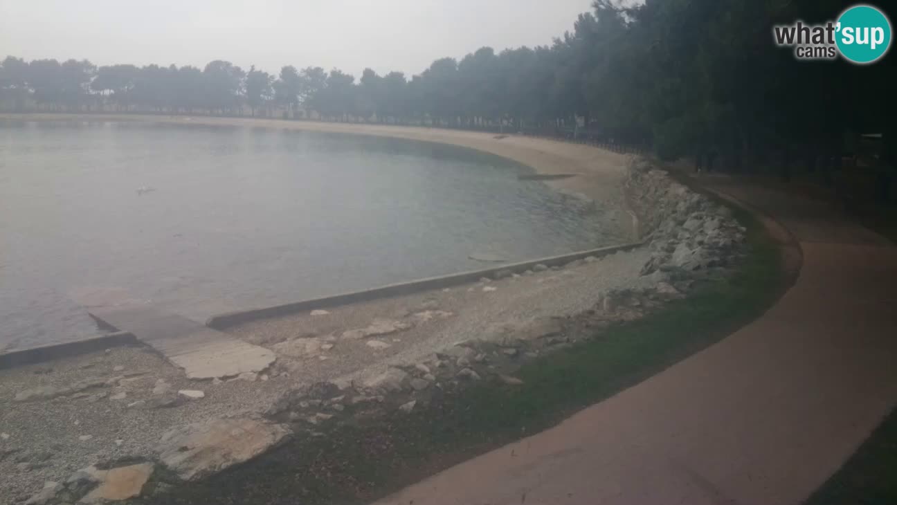 Novigrad – Strand Karpinjan webcam