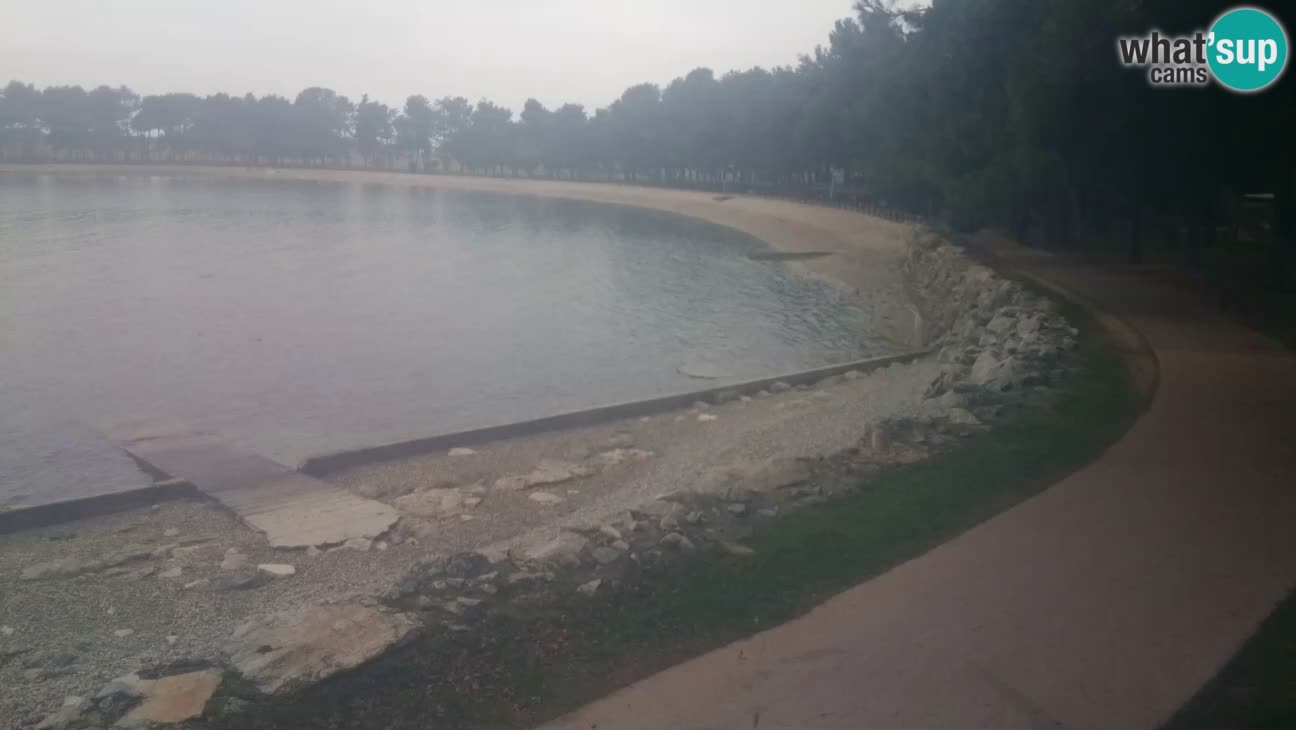 Novigrad – Playa Karpinjan