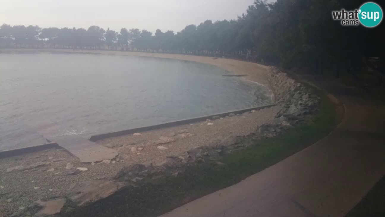 Novigrad – Plage Karpinjan