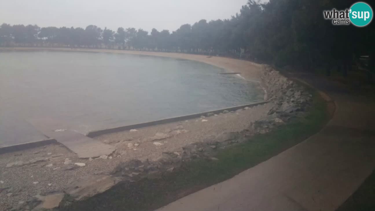 Novigrad – Plaža Karpinjan