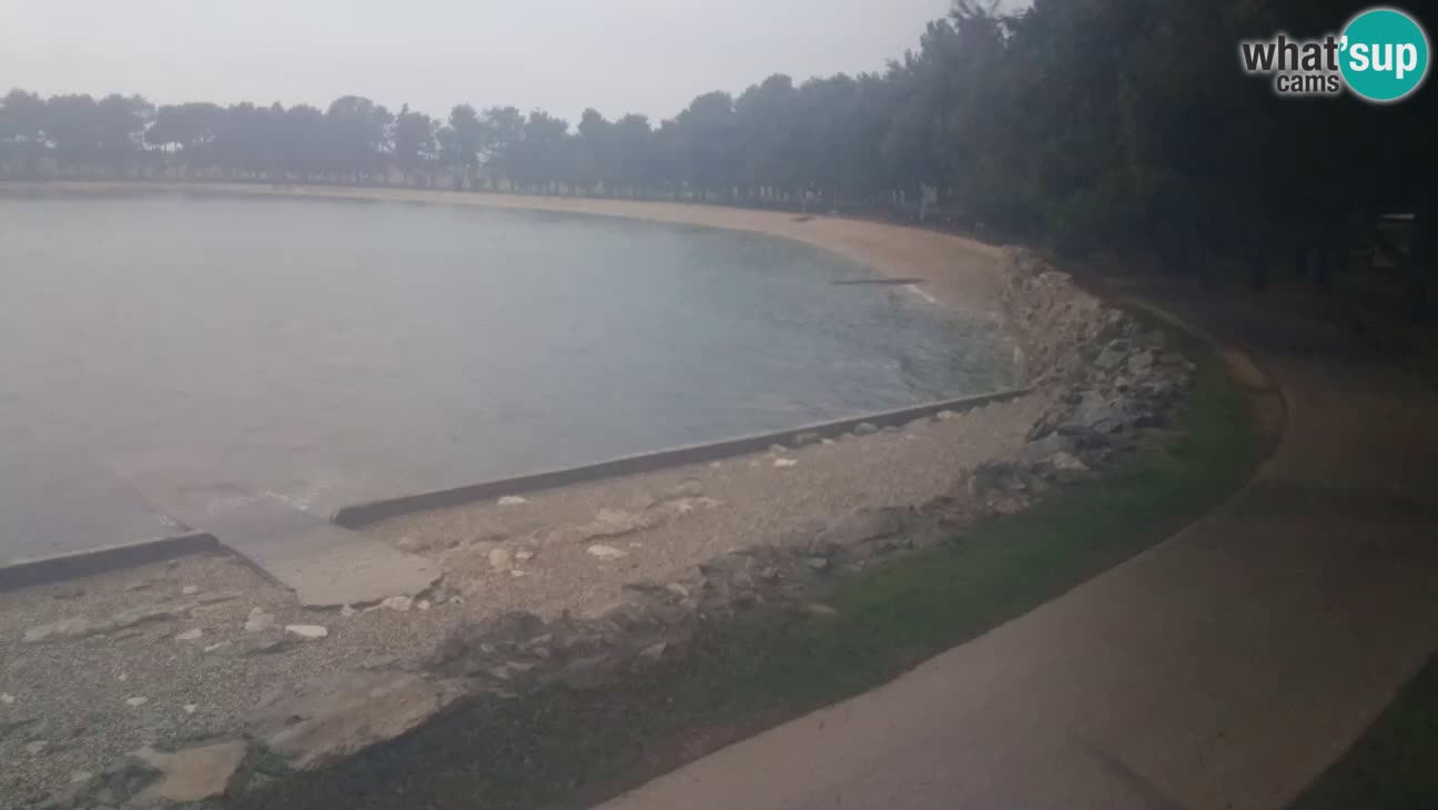 Novigrad – Plage Karpinjan