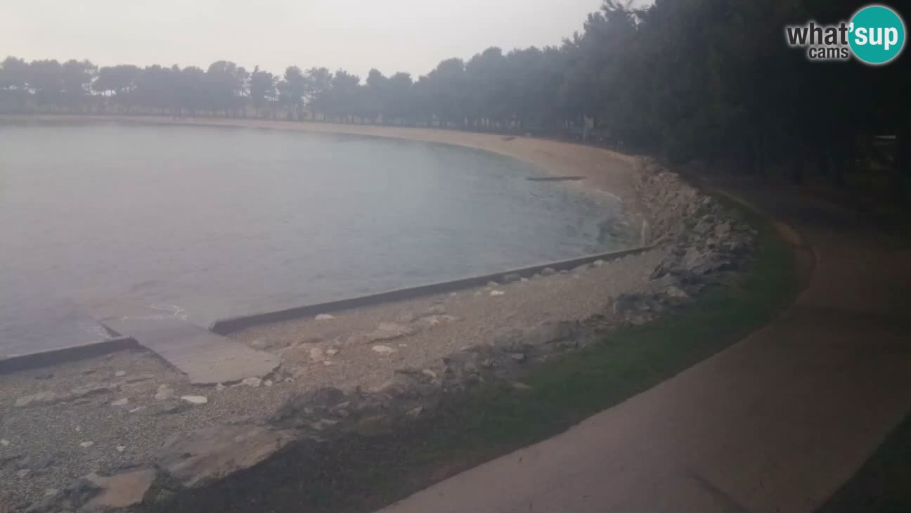 Novigrad – Plage Karpinjan