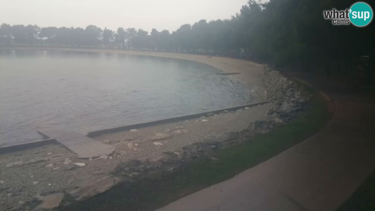 Novigrad – Plaža Karpinjan